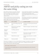 Neurodivergent Family Meal Planning